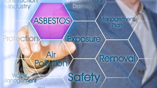 Asbestos Litigation