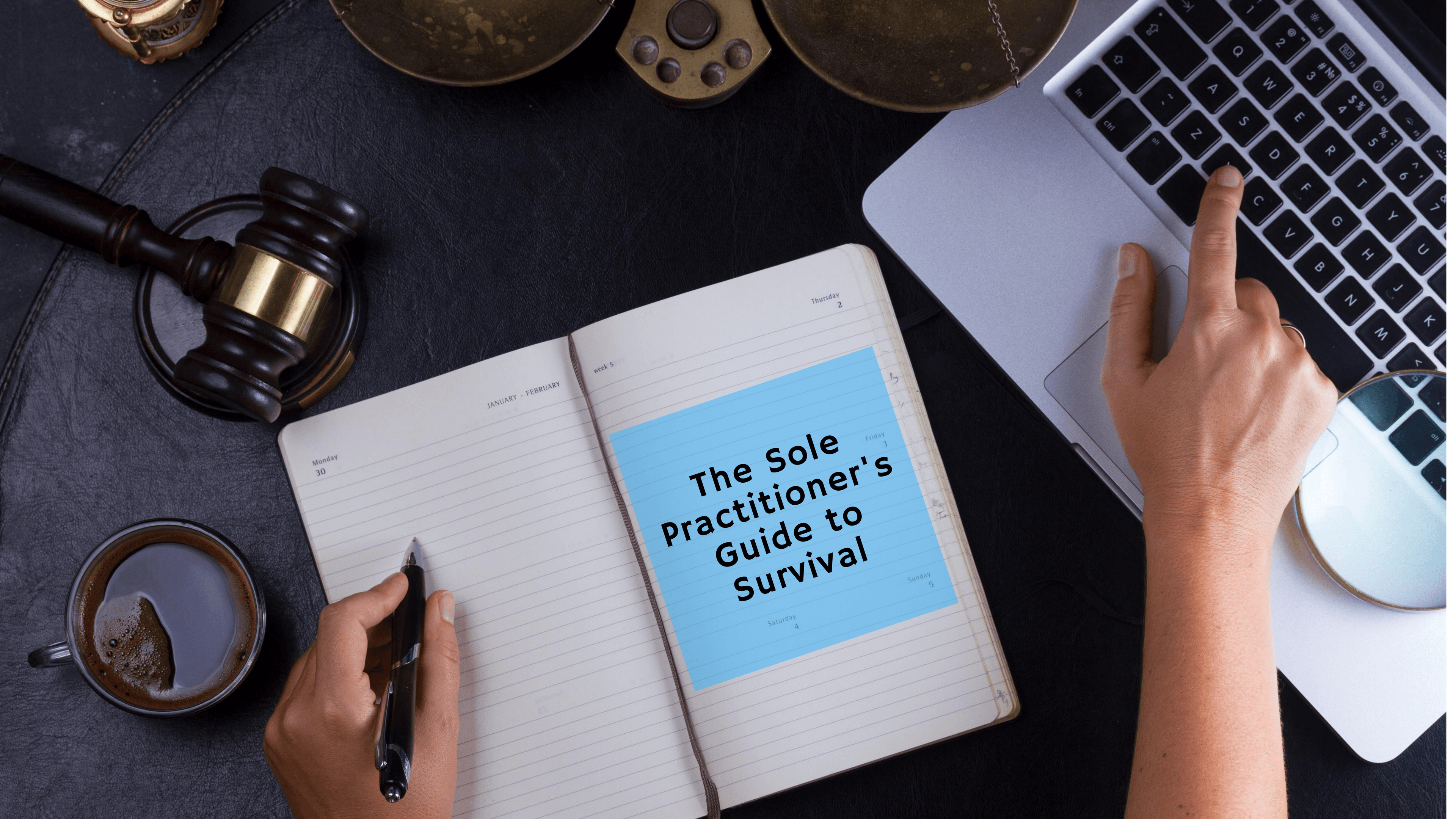 The Sole Practitioner's Guide to Survival