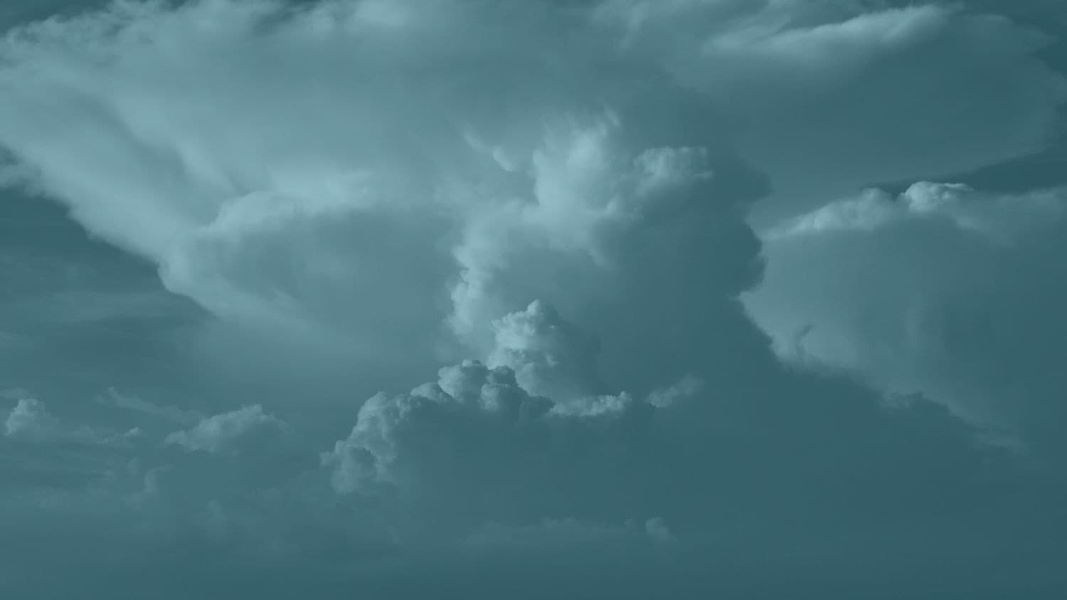 Dealing with Borderline Personalities in Divorce