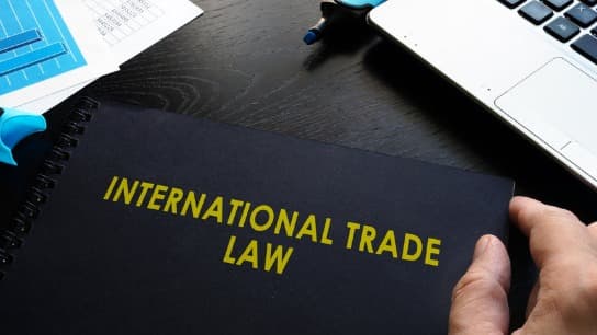 ITC Litigation and Enforcement